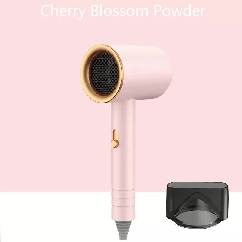 Professional Portable Salon Hair Dryer