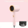 Professional Portable Salon Hair Dryer